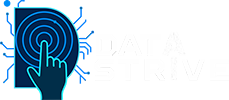 Data Strive